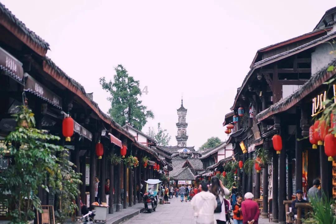 奔跑的兔子